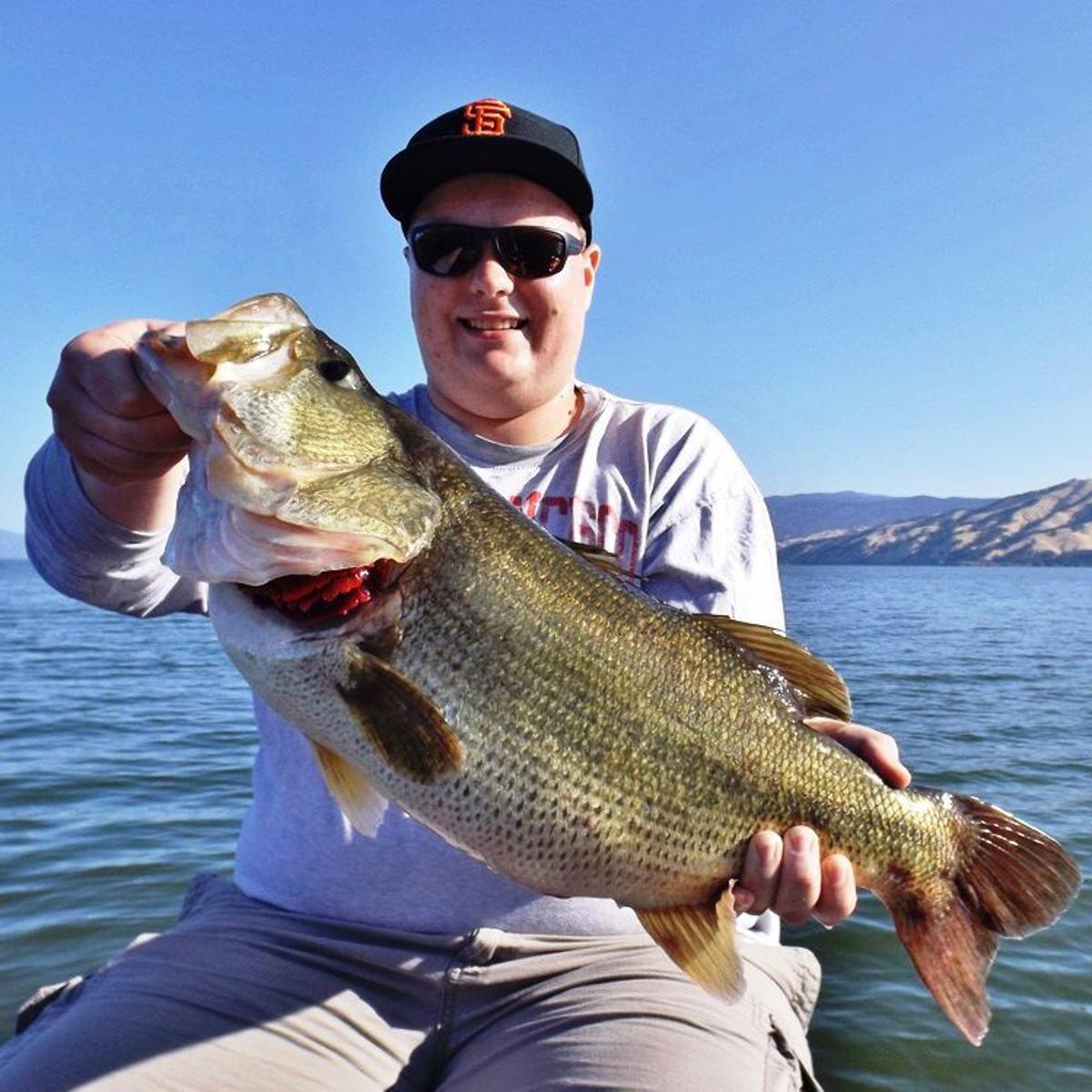 Trout Report Good At Lake Berryessa Outdoors Napavalleyregister Com