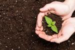 Master Gardeners of Napa County: Why you shouldn't till your soil