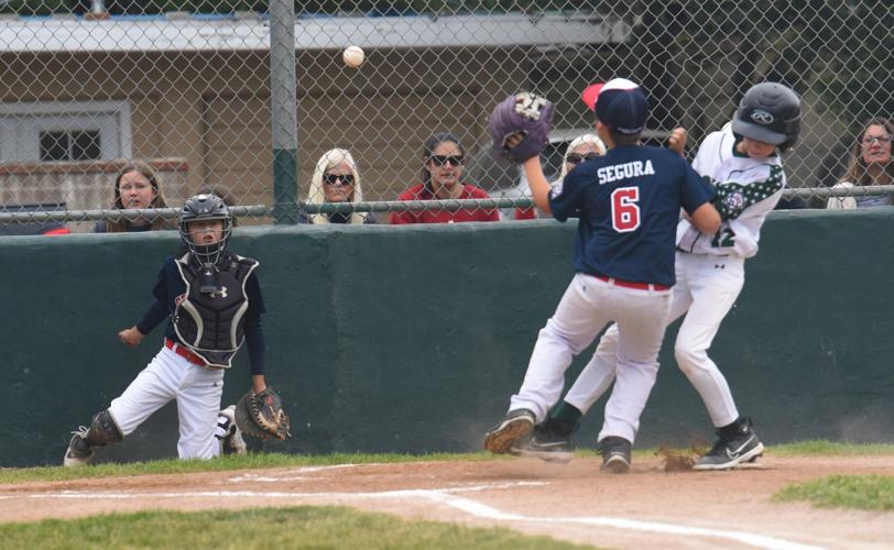 Media Little League romps, takes state title