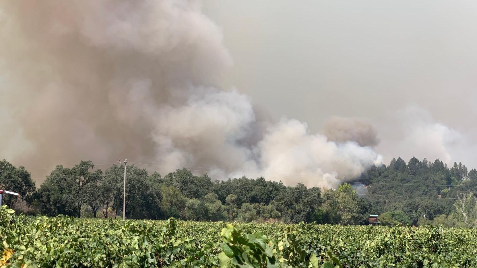 Wildfires threaten the bread and butter of Napa Valley: tourism and wine production. What now? - Vimarsana News