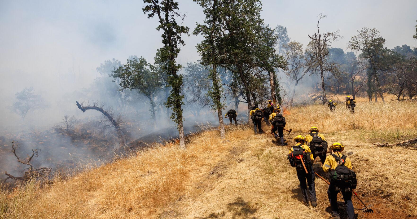 Fire season 2024: What's in store for the Bay Area and beyond - Vimarsana News