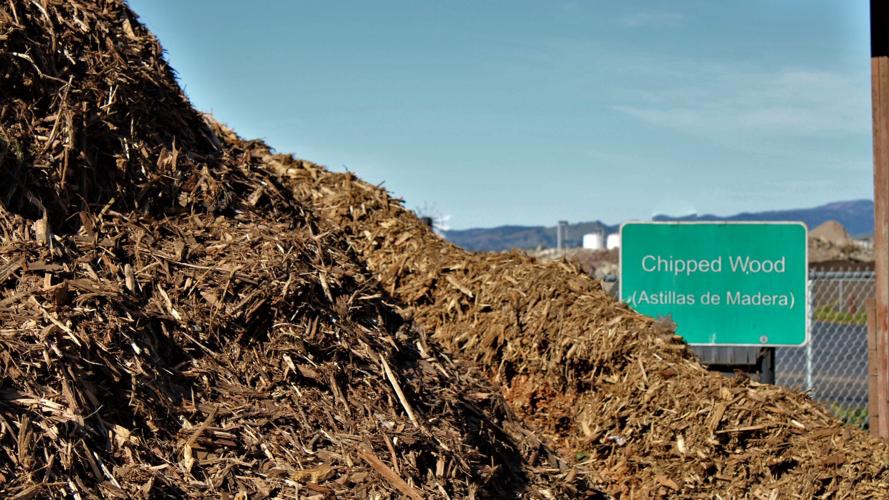 Wood chip pile at Napa Recycling and Waste Services