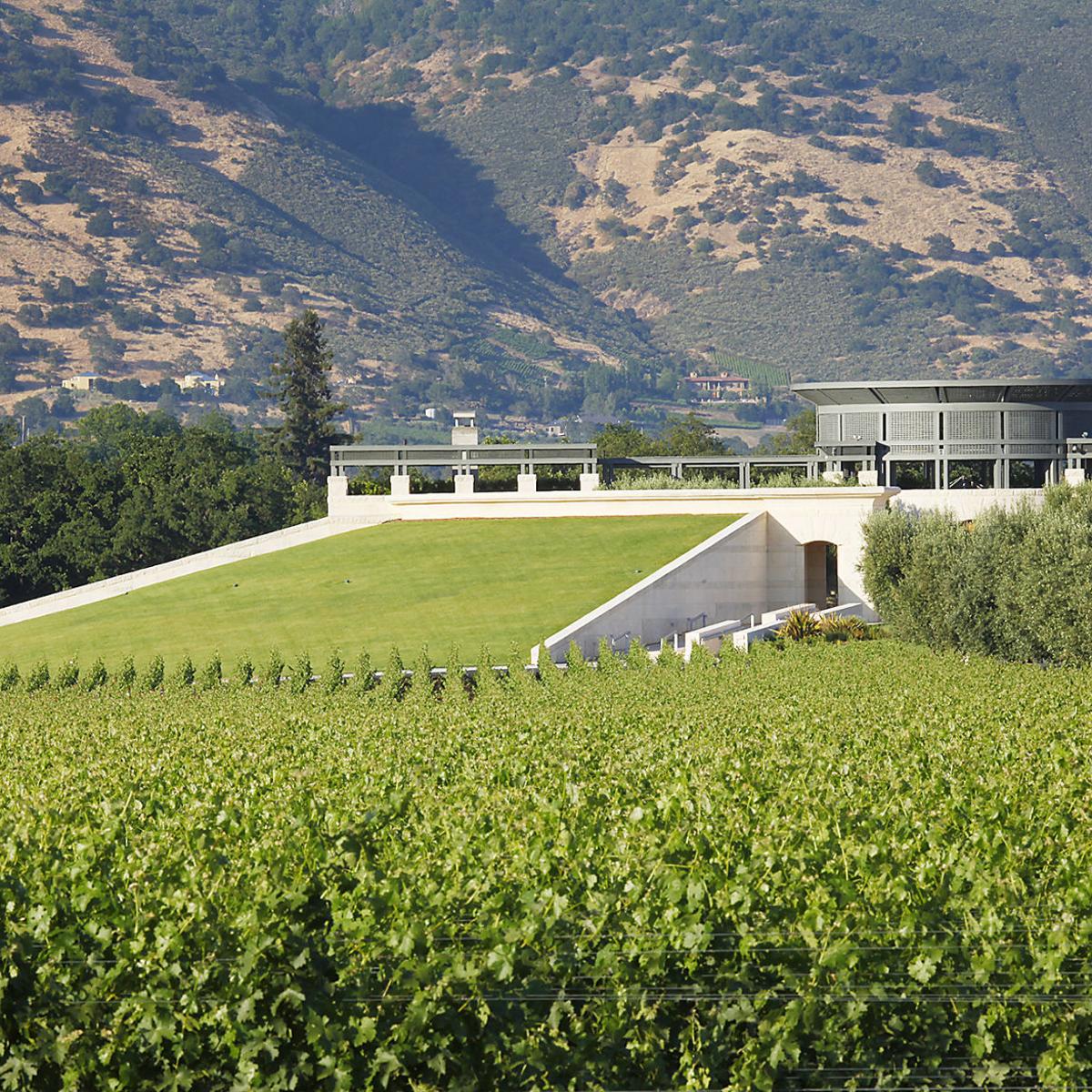 Buyer Wanted For 165 000 Opus One Collection Wine Searcher News Features