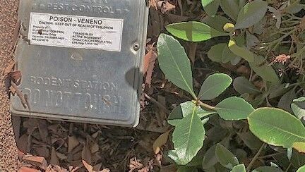 Poison bait stations in Napa County (copy)