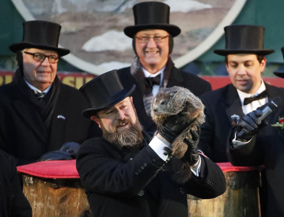 groundhog day vs 50 dates why do groundhogs emerge on february 2 if it s not to groundhog day vs 50 dates why do groundhogs emerge on february 2 if it s not to