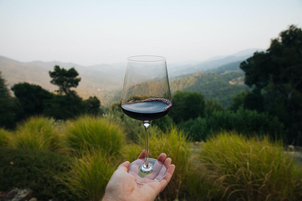 Boich Family Cellar Estate View