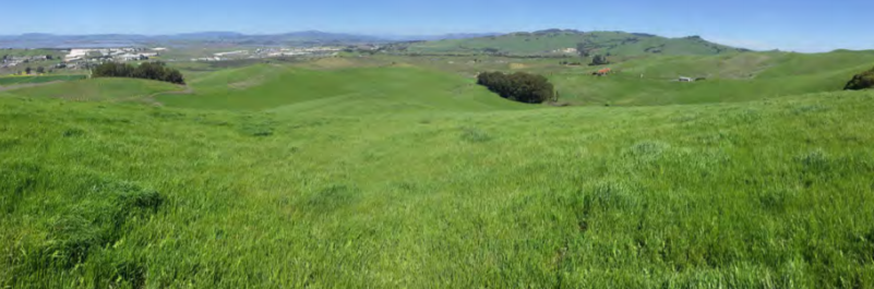 American Canyon open space
