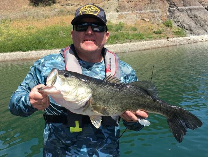The Napa Valley Fishing Report: Time to hunt for big Berryessa bass