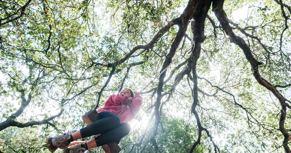 Napa on Yelp’s list of Top 10 family-friendly destinations Napa on Yelp’s list of Top 10 family-friendly destinations