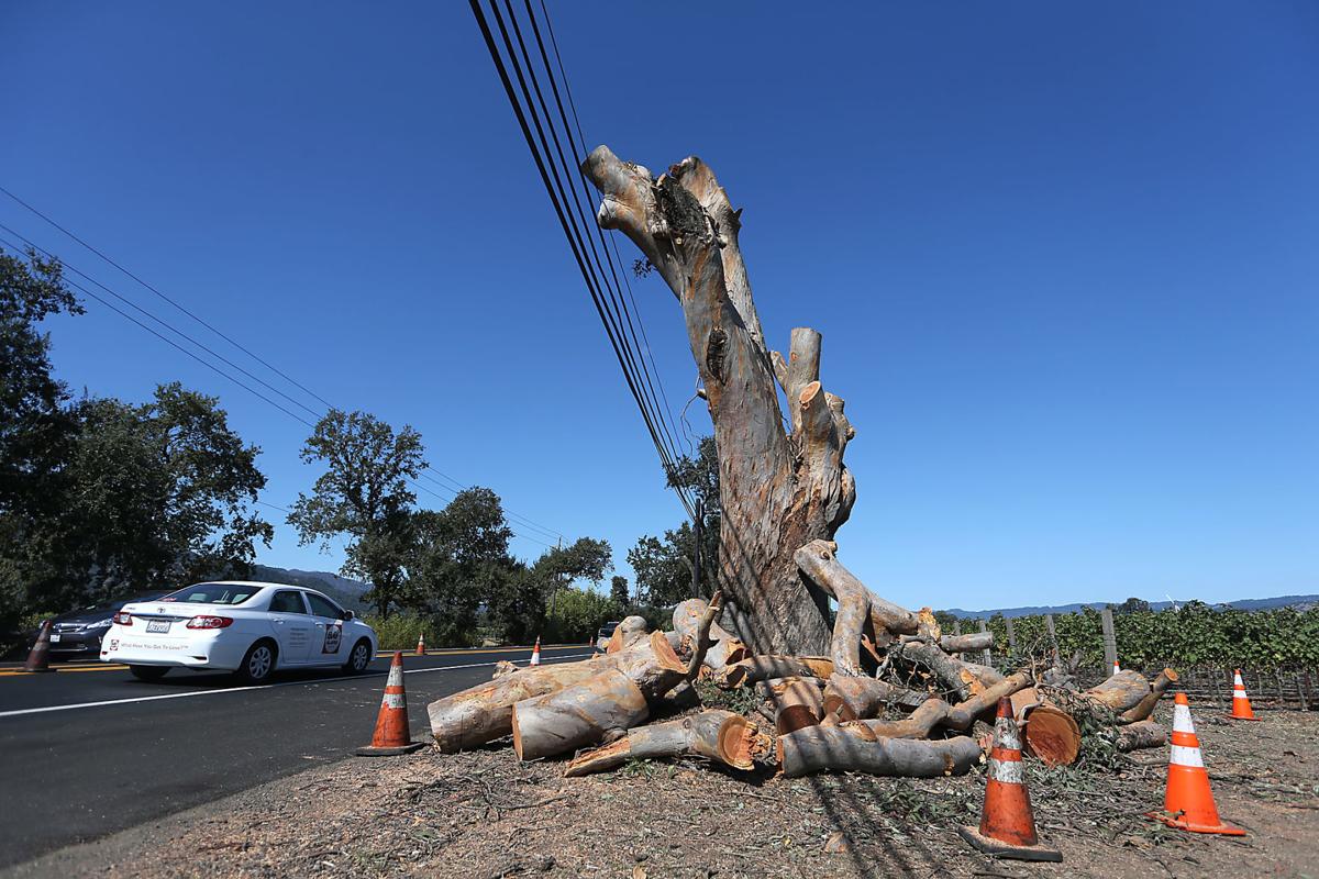 Pg E Cutting Down Highway 29 Trees Near Napa Valley Gas Pipeline Local News Napavalleyregister Com