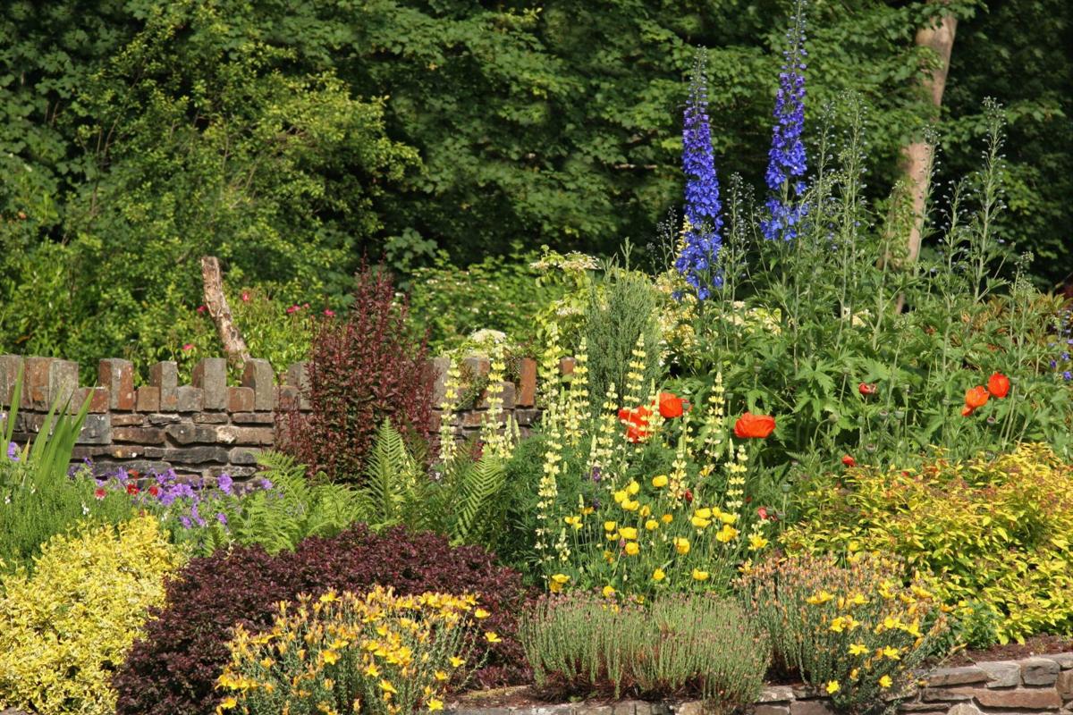 Napa County Master Gardeners: Thoughts about garden design Napa County Master Gardeners: Thoughts about garden design