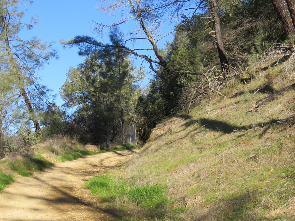 Trail
