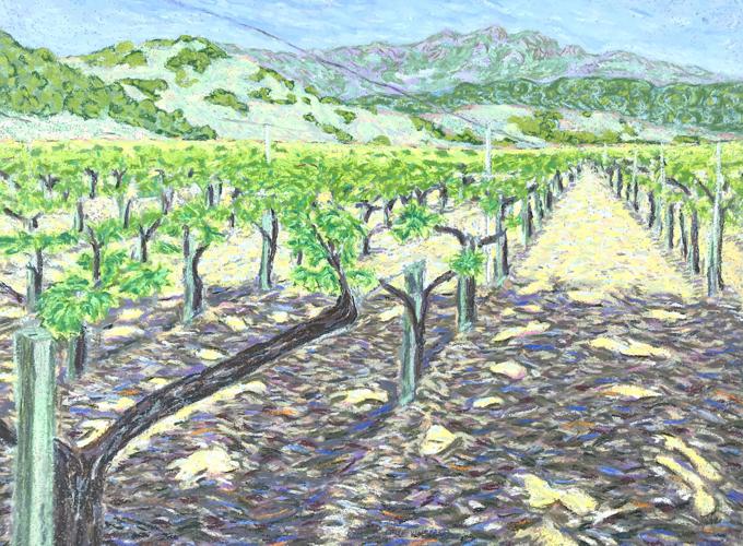 Bennett Lane Vineyard