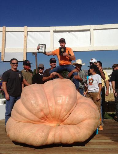 World record pumpkin