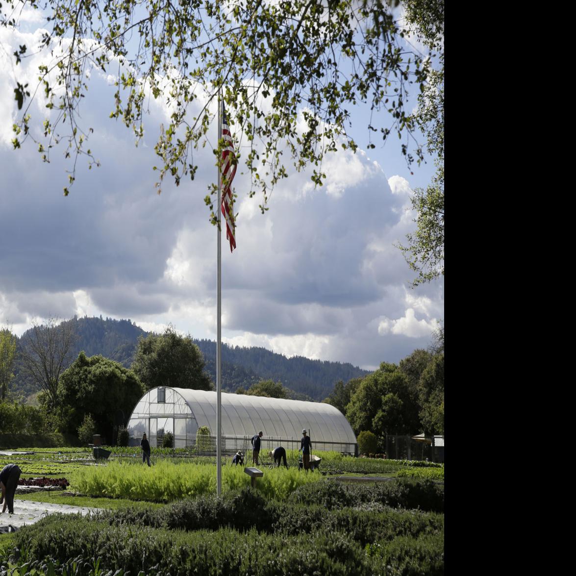 French Laundry Garden Parcel Sold For 9 Million Business Napavalleyregister Com