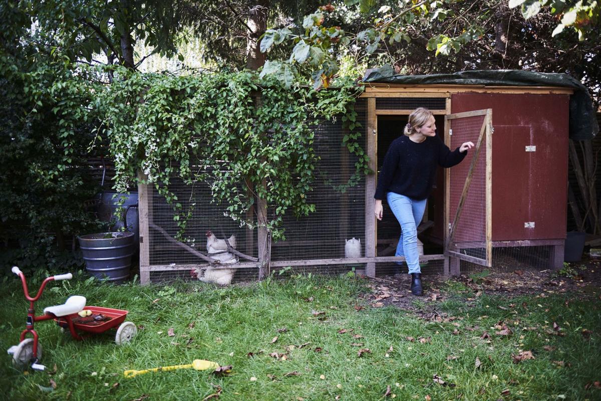 What It Takes To Be Carbon Neutral For A Family A City A