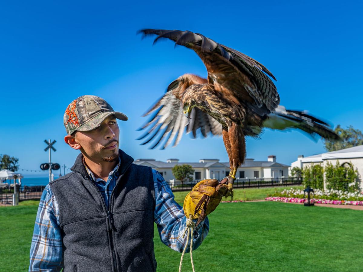Former Solbar Chef Falsini Opens Santa Barbaras Carusos
