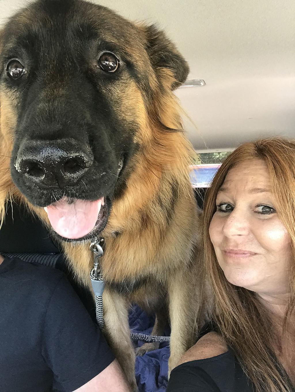 Napa Dog Owner Awarded 60 000 In Death Of Pet Local News