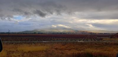 Napa Valley sky shot