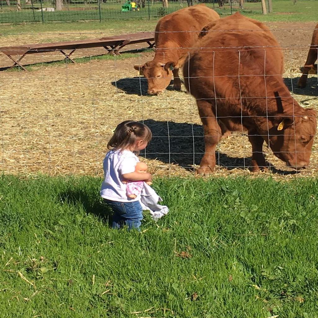 Here S The Beef Winters Ranch Beef Company Is A Family Affair