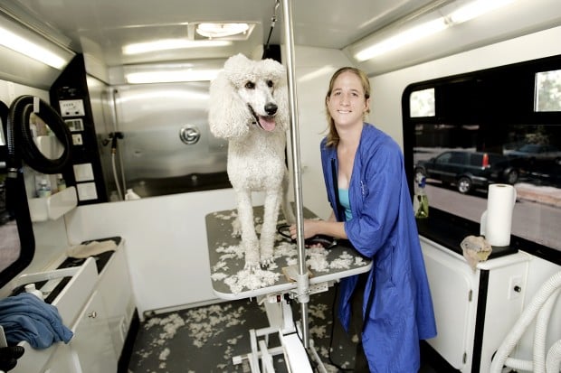 Traveling on sale dog groomer