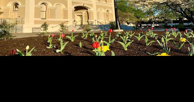 napa-county-superior-court-to-continue-limited-services-through-may-planning-for-reopening-begins