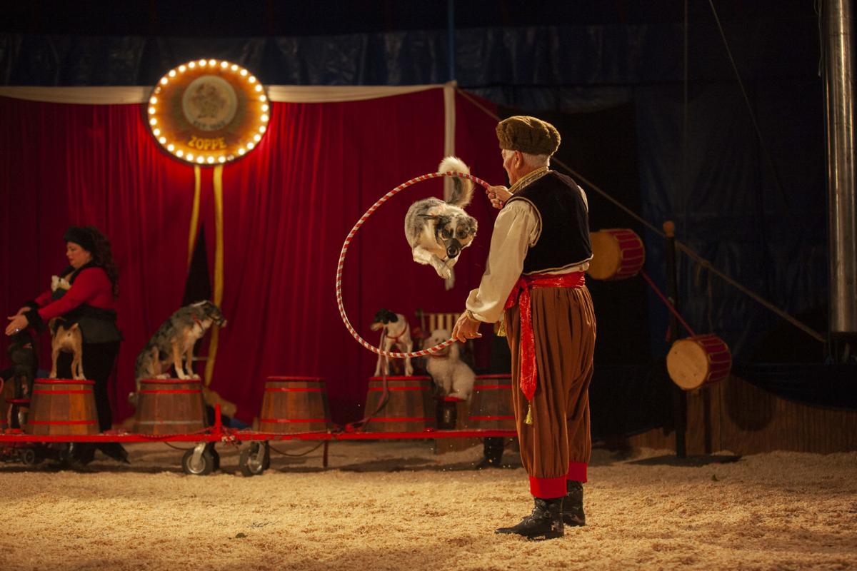Zoppé The circus is coming to Napa Valley Arts & Theatre