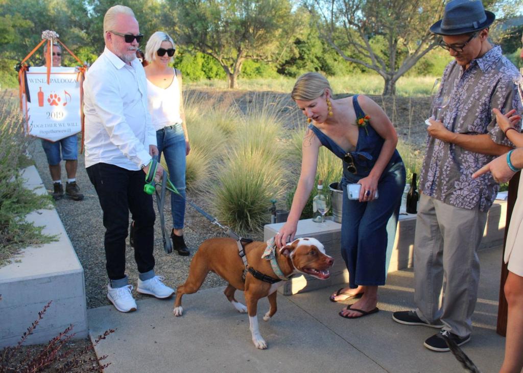 Wineapawlooza Raises 1m Pledge For Jameson Animal Rescue Ranch