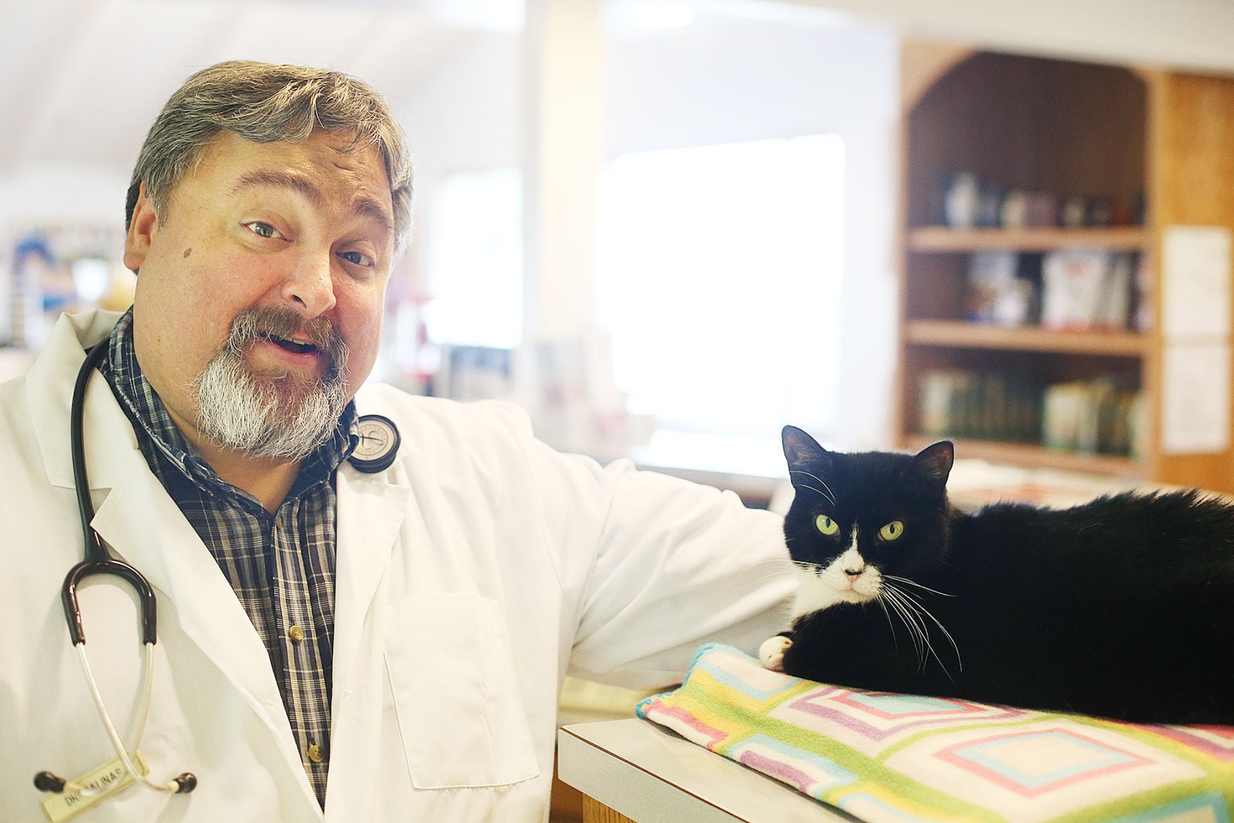 alley cat small animal hospital