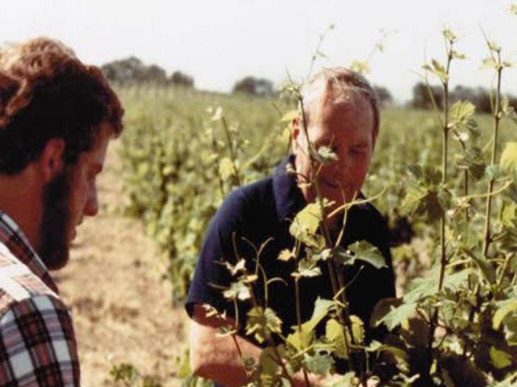 Markham Vineyards Celebrates A Year Of Anniversaries Wine