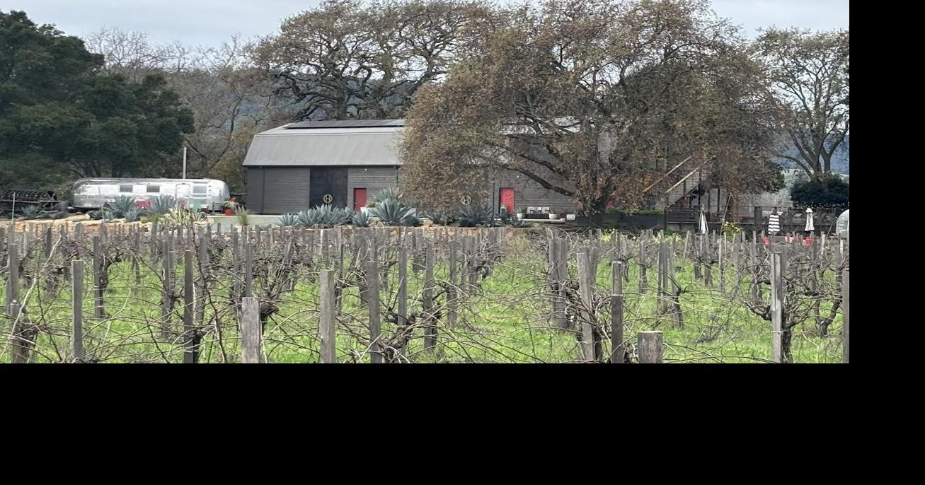 Napa County #39 s long Hoopes winery court trial nears end News