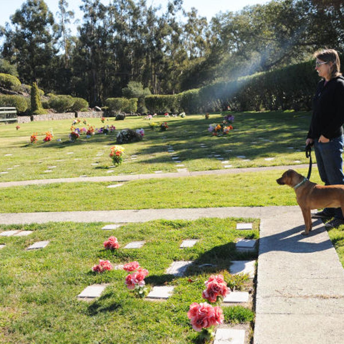 Beyond The Gates Of Heaven Local News Napavalleyregister Com Beyond The Gates Of Heaven Local News Napavalleyregister Com