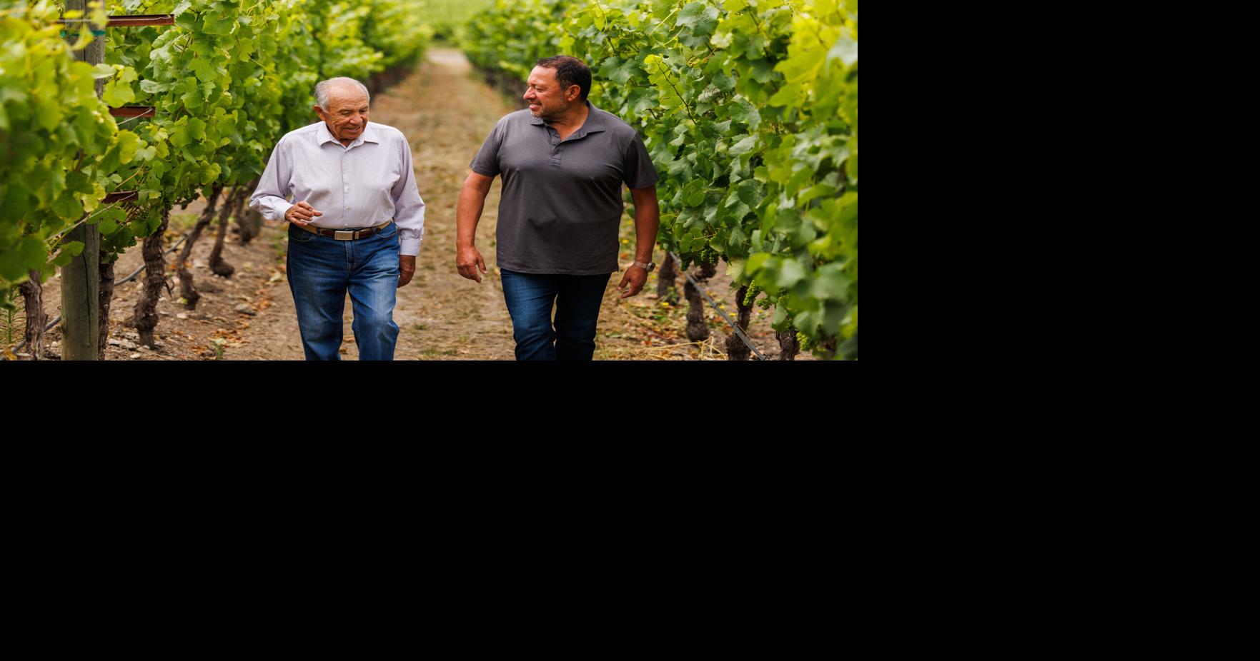 Napa Valley's Renteria Vineyard management takes the lead | Business ...
