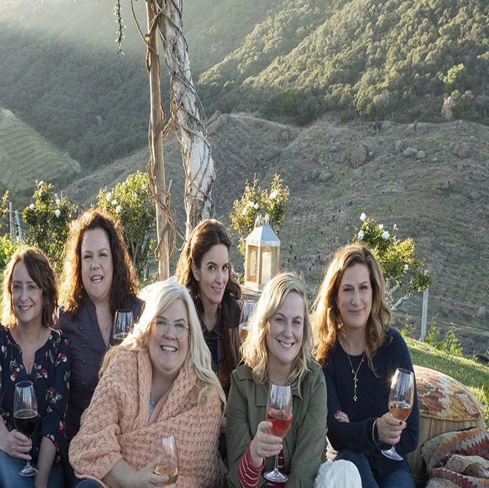 Is Napa Valley Ready For Amy Poehler S Wine Country Movie