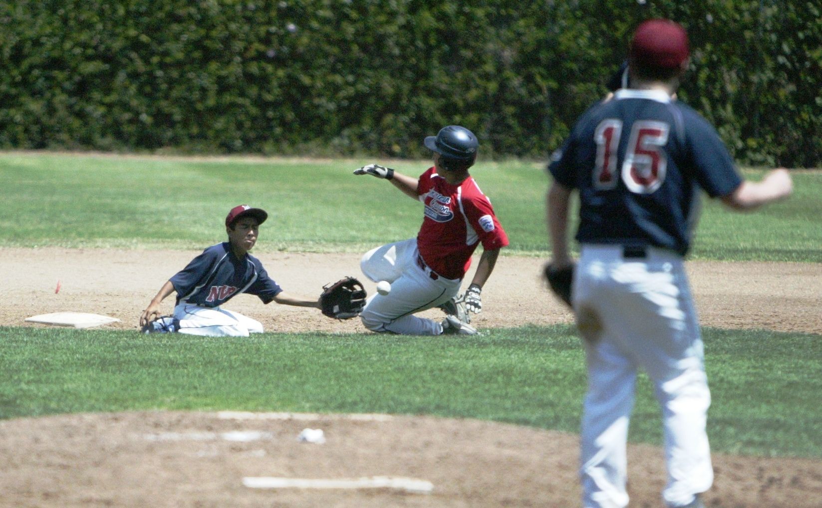 little league all star requirements