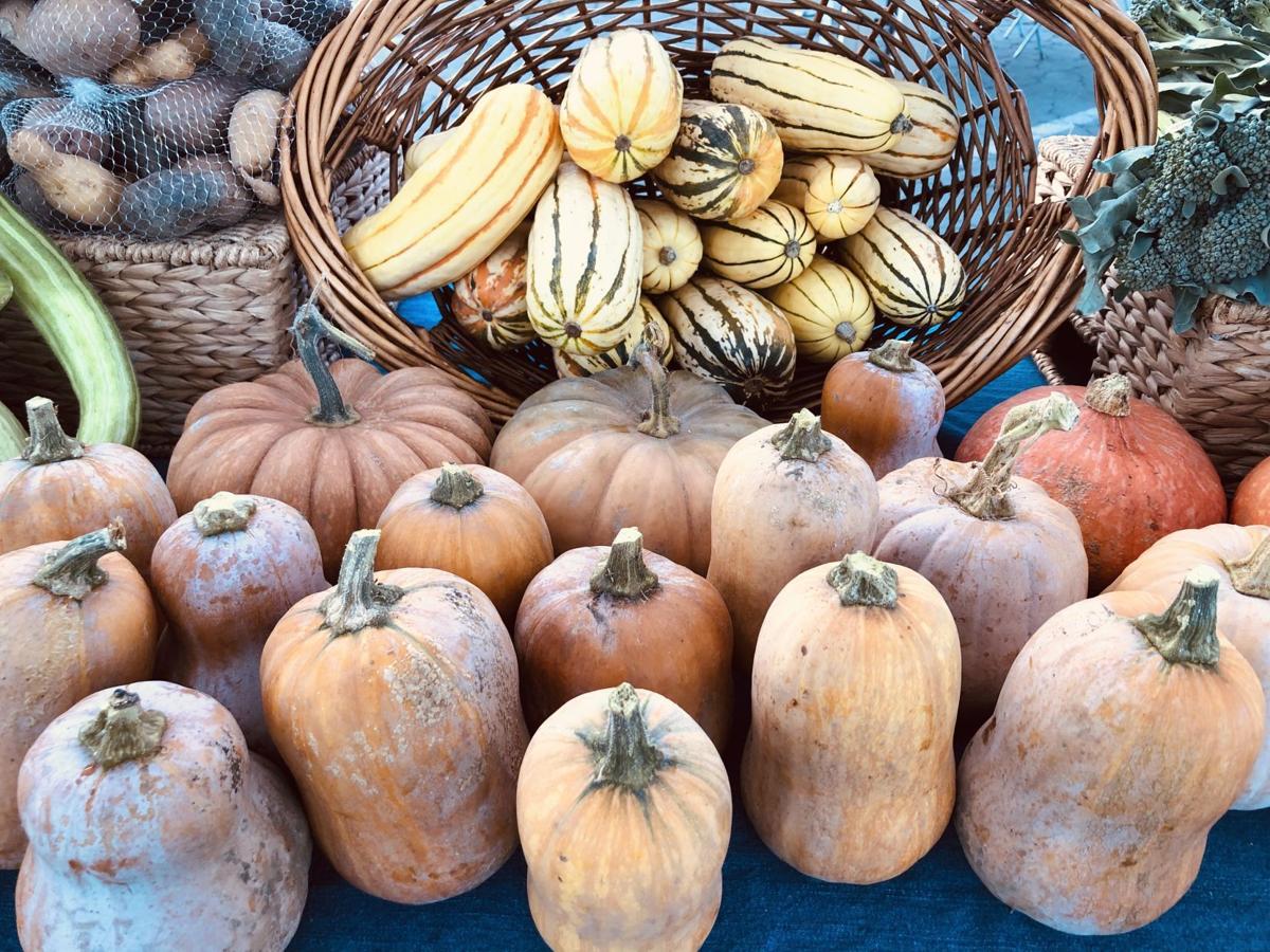 Fall squash