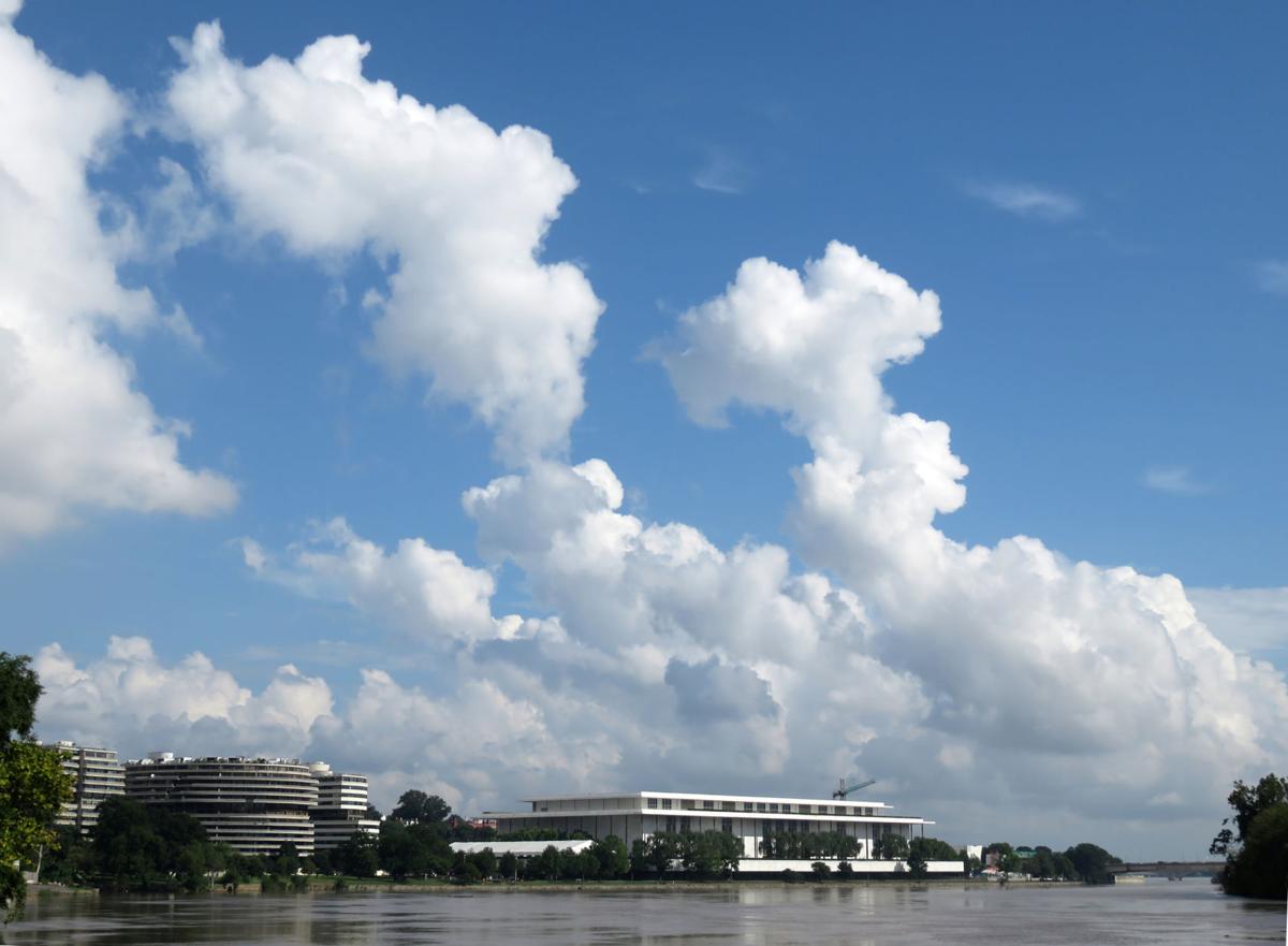 Summer in D.C.