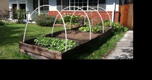 The benefits of raised beds for gardening in Napa County - Vimarsana News