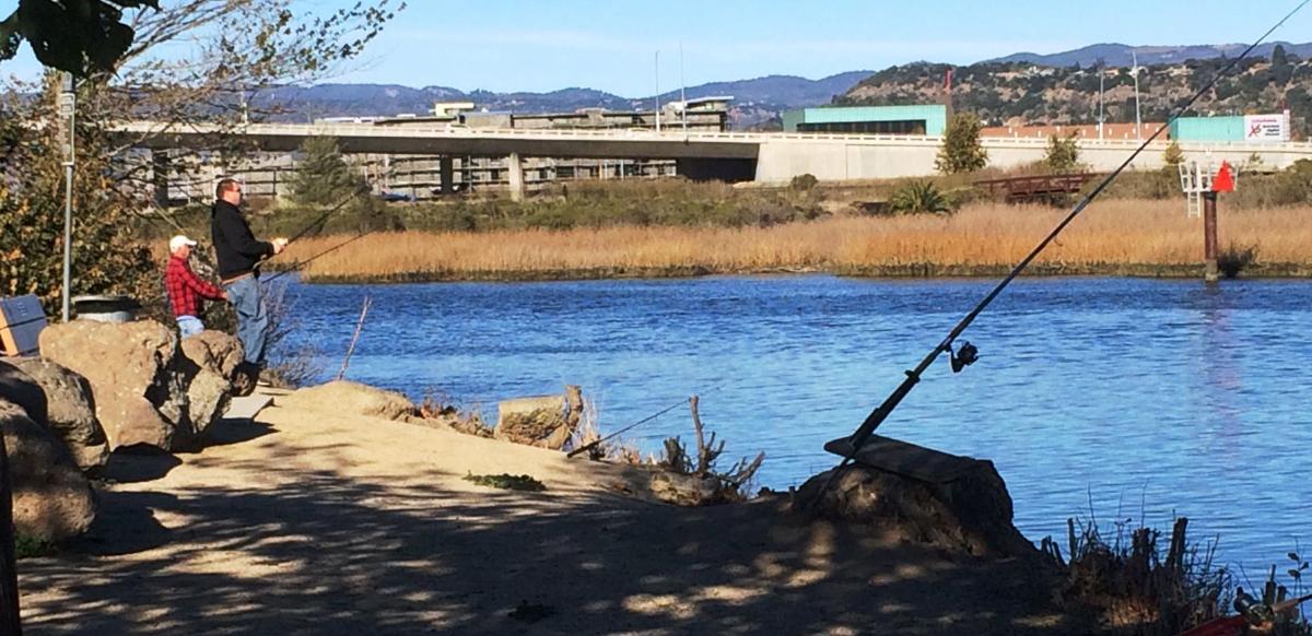 Contests make family fishing more fun | Outdoors | napavalleyregister.com