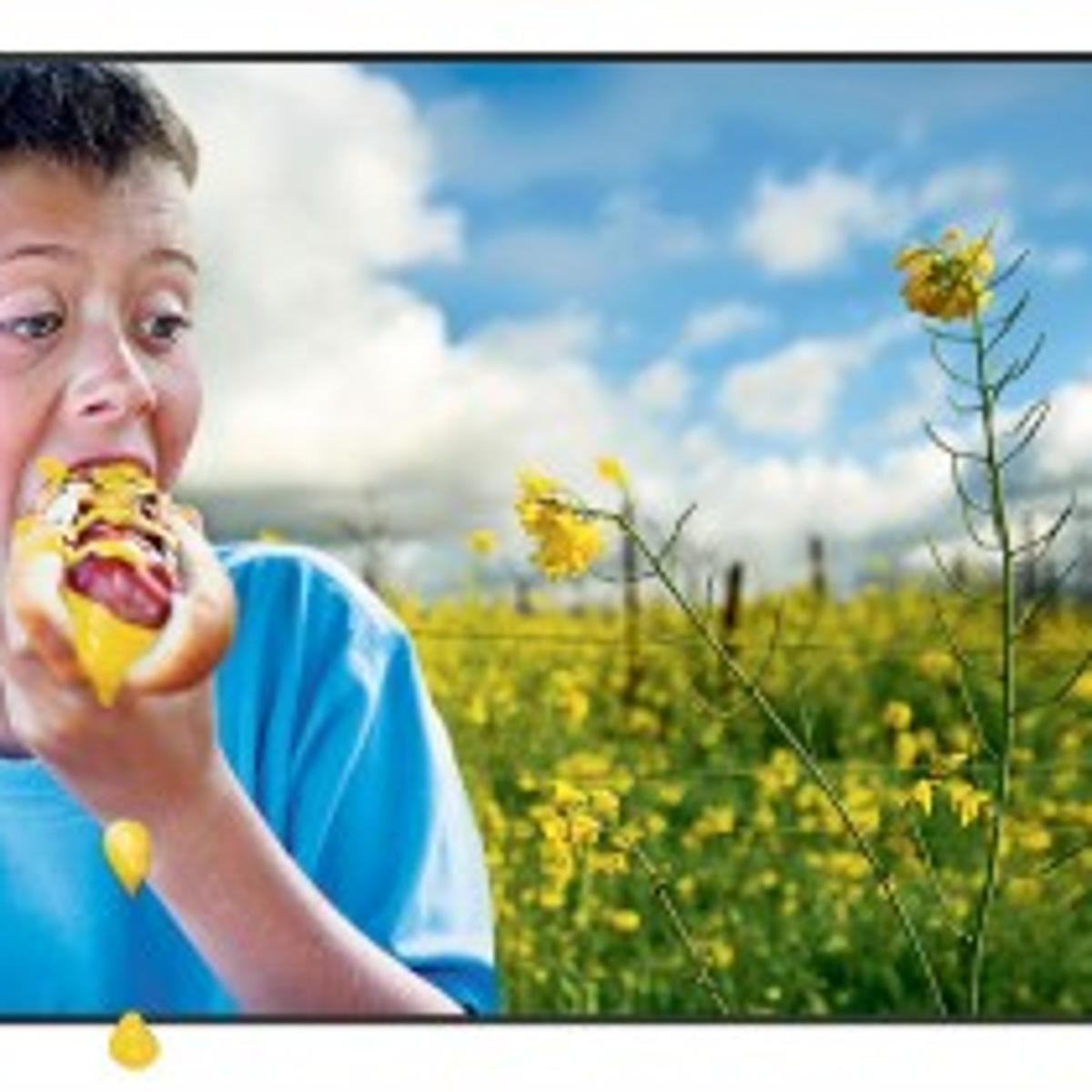 Annual Mustard Festival Photo Contest Names Champions In Each Category Arts Theatre Napavalleyregister Com Mustard Festival Napa 2022