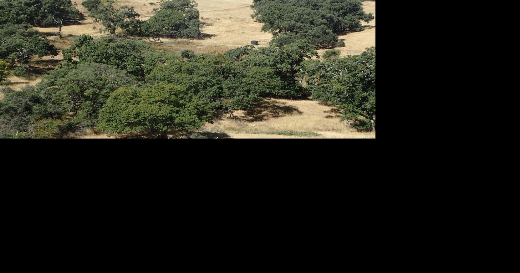 Napa court decides Atlas Peak property access battle News