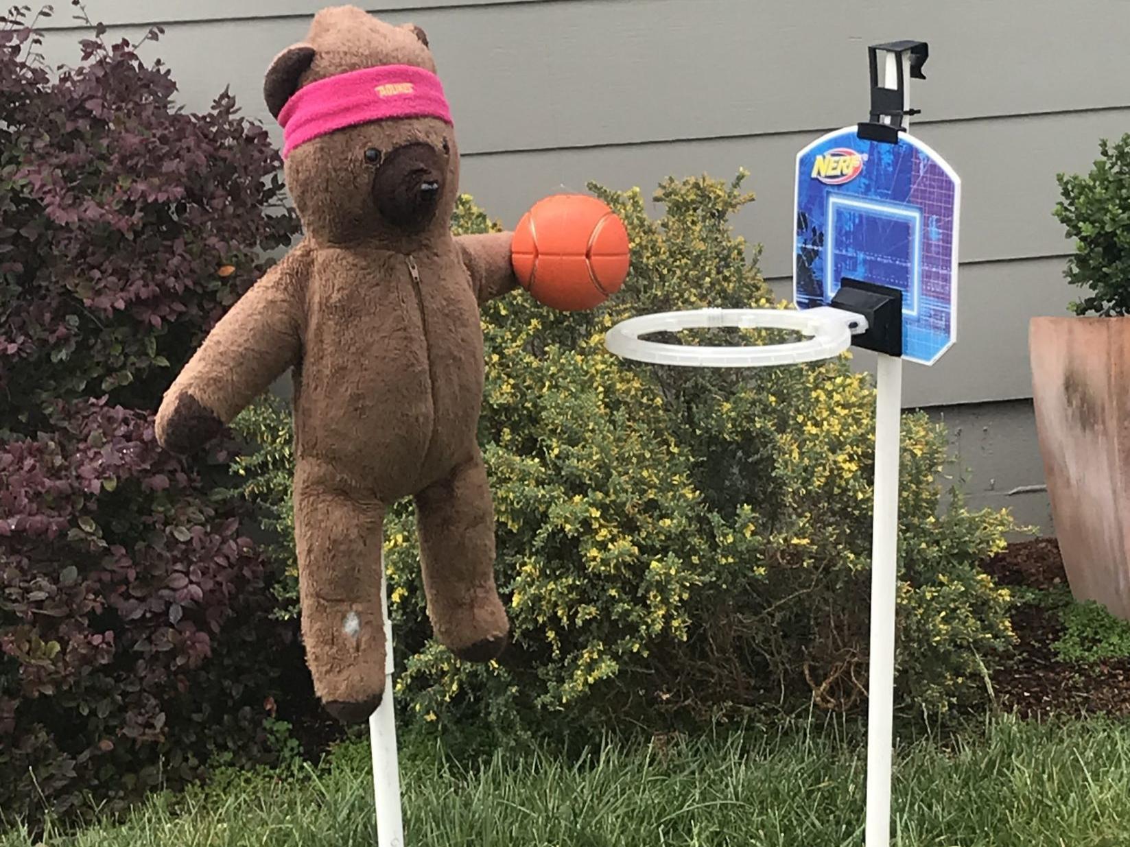 Napa Man Takes Teddy Bear Hunt To New Heights Local News Napavalleyregister Com