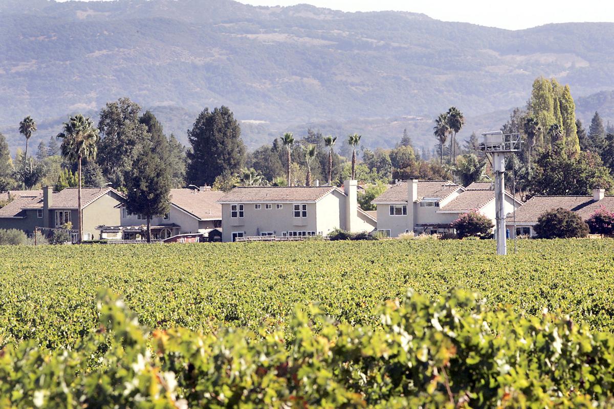 Agriculture Land and Neighborhoods (copy)