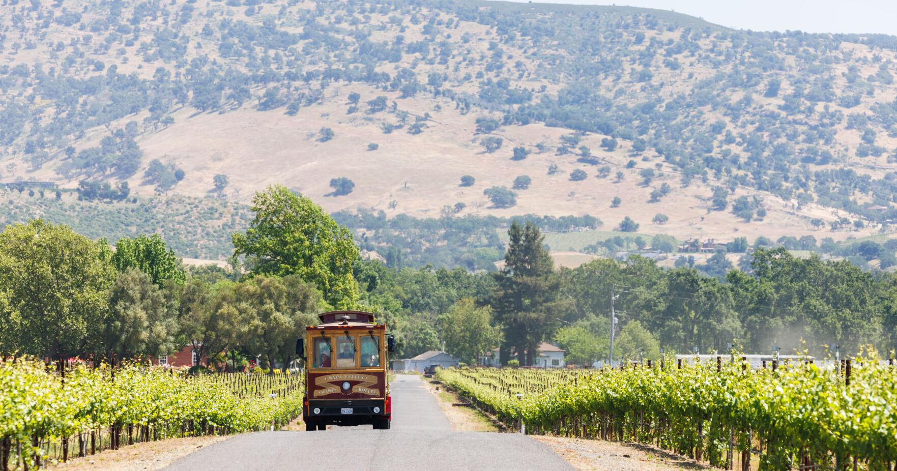 Future of Monticello winery splits brothers and sisters - Vimarsana News