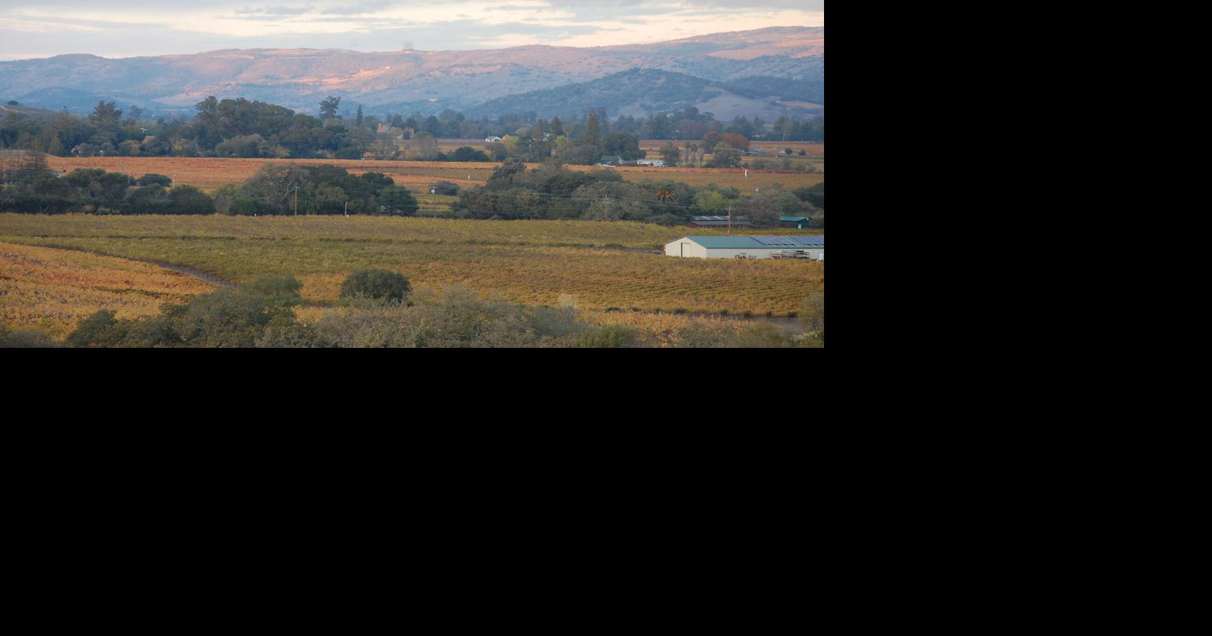 Environmental groups join debate over Napa County's future