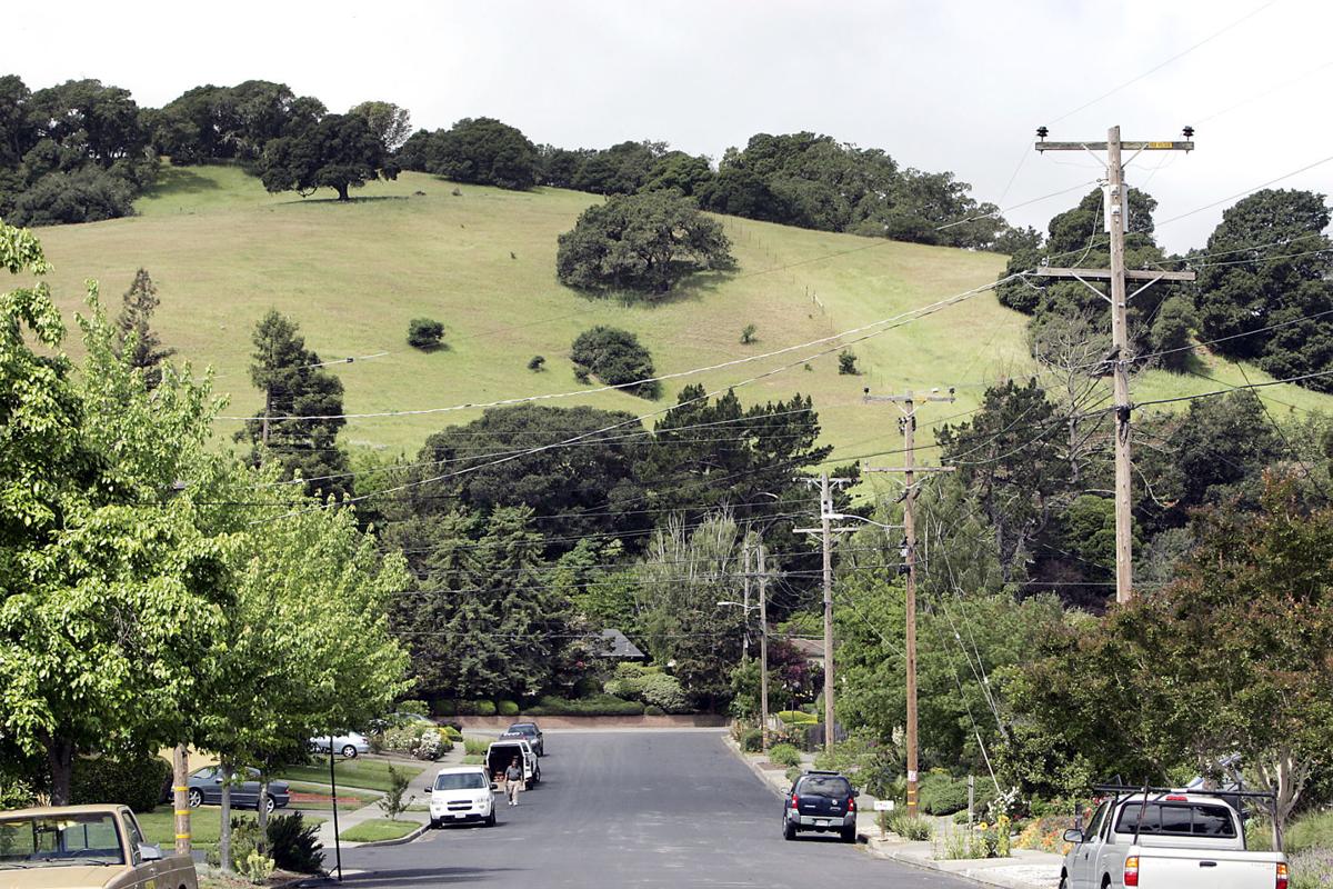 Napa Oaks II site (copy)