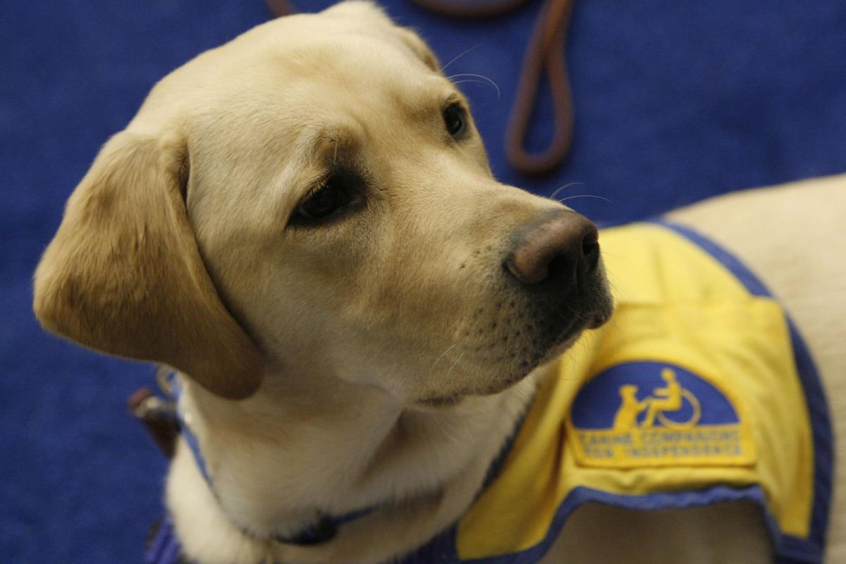 Airlines would no longer be required to consider emotional support animals as service animals under new rules proposed Wednesday by the U.S. Department of Transportation.