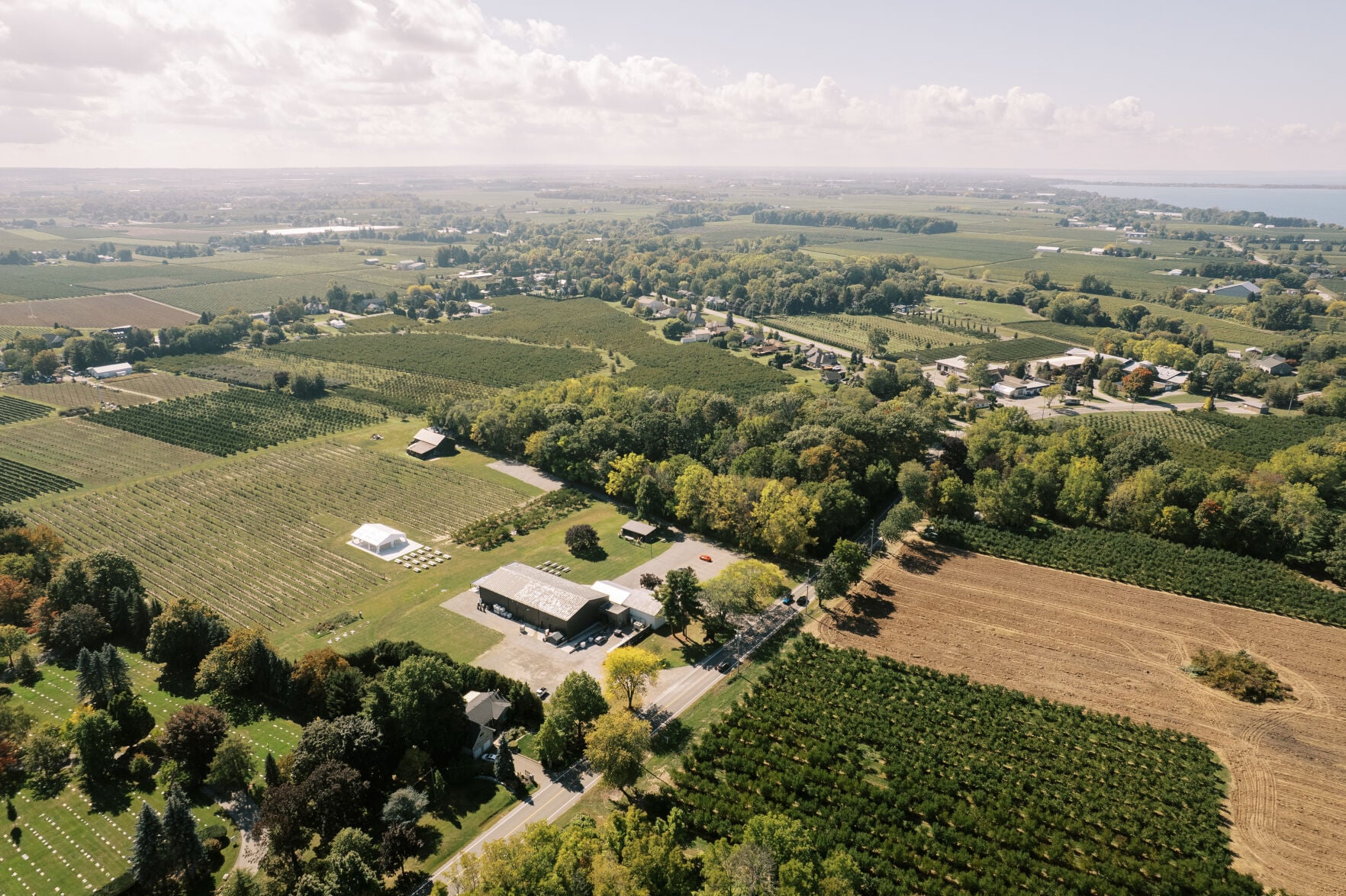 The Napa Valley Wine Exchange: Venturing to someplace new