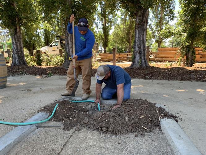 Napa Yard coming to Oxbow area