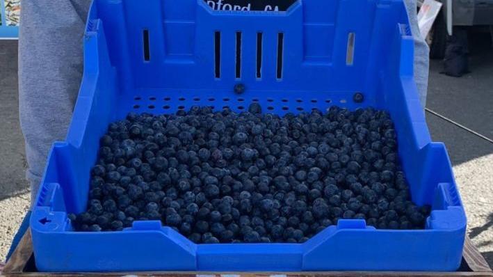 It's Cherry/Berry season at the St. Helena Farmers' Market | Lifestyles - Vimarsana News